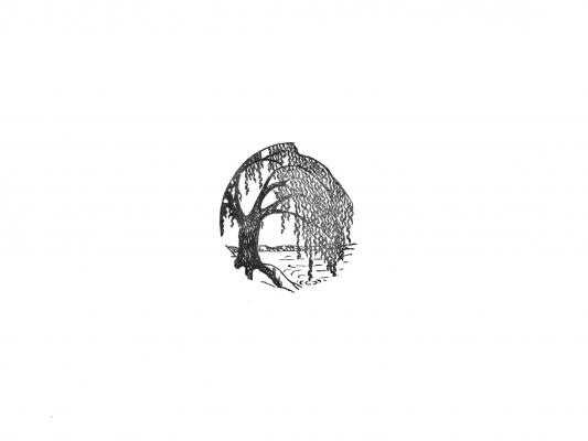 Willo Studio logo