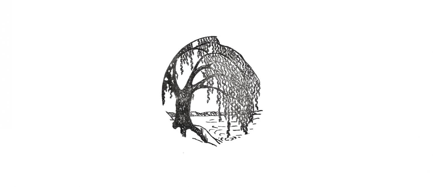 Willo Studio logo